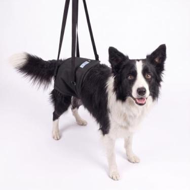 Imagem de Suporte Auxiliar Quadril Tamanho G Cães Fisioterapia Reabilitação Idos