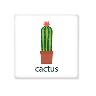 Imagem de Cactus Vaso de Plantas Suculentas Verdes, Azulejo de Cerâmica Brilhante Decalque Pedra Adorna de Tijolos Vitrificados