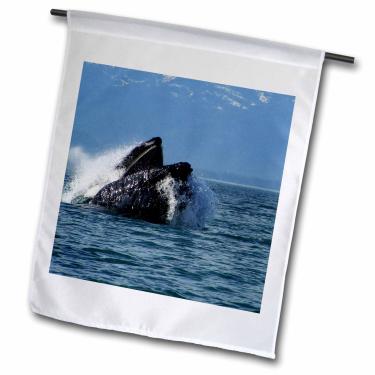 Imagem de 3dRose fl_21604_1 Arenque comendo baleia jubarte no oceano Pacífico no sudeste do Alasca bandeira do jardim, 30 x 45 cm