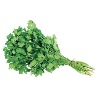 Imagem de Sementes de Coentro Verdão Hortaliças Tempero Cozinha