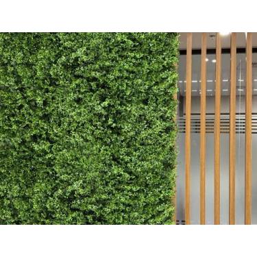 Imagem de 12 Placas de Alta Qualidade Plantas Permanentes para Jardim Vertical I