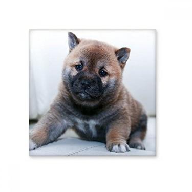 Imagem de Pedra adorna de tijolo vitrificado, imagem fofa, azulejo de cerâmica brilhante