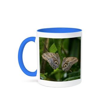 Imagem de 3dRose Caneca da Costa Rica Inseto, Borboleta Coruja, 325 ml, Azul