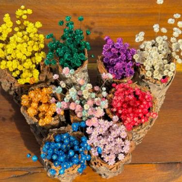 Imagem de Tronco Decorativo Rústico com Flores Sempre Vivas, 25 cm, Casca Natural, Arranjo Artesanal para Decoração (TRONCO-KIT-03)