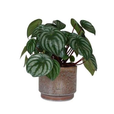 Imagem de Cachepot/Vaso/suporte para plantas em cerâmica marrom - MART