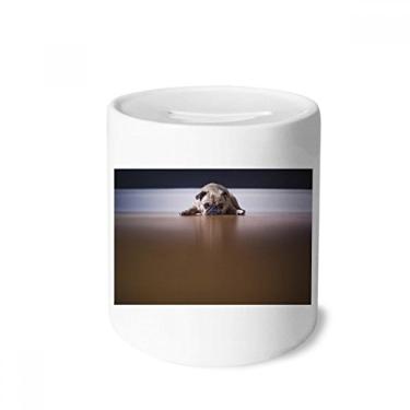 Imagem de DIYthinker Caixa de moeda de cerâmica com imagem de chão de animal para cães, porta-moedas, presente de cofrinho