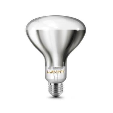 Imagem de Kit com 5 Lâmpadas de Secagem Infra Vermelho Aviário Aquecimento 250W 