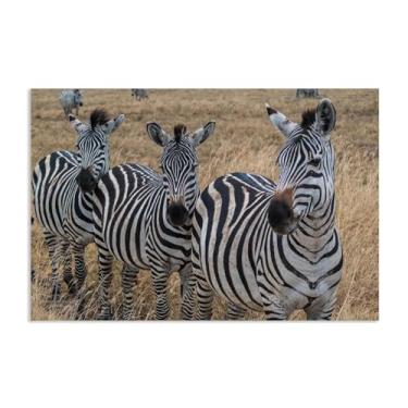 Imagem de SDYJ6GSW Imagens de animais em preto e branco para decoração de parede savana africana zebra imagem de animal impressão de imagem de cavalo em tela pintura de parede zebra decoração de parede para
