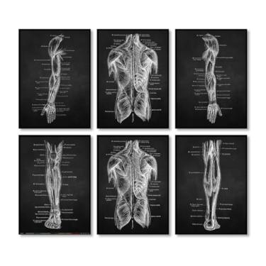 Imagem de Conjunto de 6 pôsteres de pintura em tela de músculo de órgão esqueleto impressões vintage anatomia do corpo humano imagens de parede médica decoração de sala de clínica (SKU2-6PCS, 20.3x30.5 cm = (20