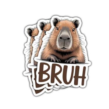 Imagem de 3 peças de adesivos de capivara Bruh, decalque de vinil meme engraçado para amantes de capivara, fãs de animais exóticos, adolescentes, adultos, laptop, carro, caderno, garrafa de água, fichário