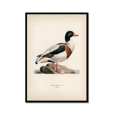 Imagem de Impressão de pato vintage rústico Pato Pato Pato Lago pôster de arte de parede retrô natureza pintura em tela imagens decoração de quarto de fazenda (SKU7,8x30,5 cm = (20 x 30 cm), moldura de metal