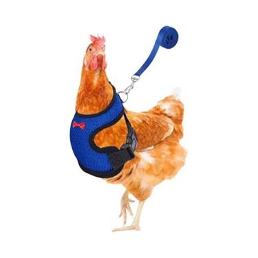 Imagem de Coleira Peitoral Para Galinhas, Patos E Aves De Estimação Com Laço Com