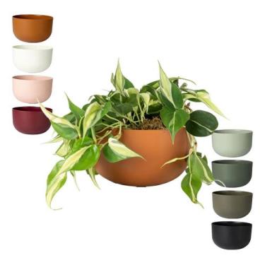 Imagem de Cachepo Due N6 Cuia 21 Plantas Vasos Raiz 24cm - Cor, Terracota