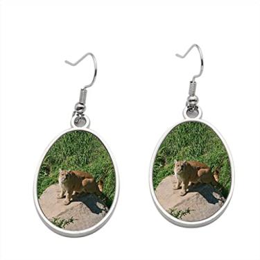 Imagem de Brinco Cougar On A Rock – Brincos pendentes para meninas – Presente de festa de aniversário dos namorados