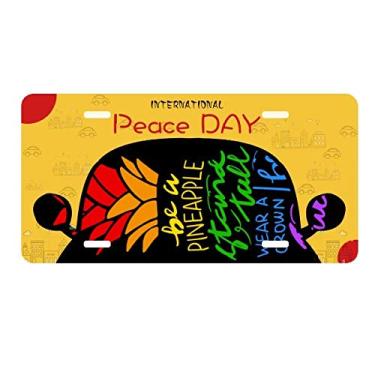 Imagem de DIYthinker Abacaxi LGBT Bandeira Arco-íris Placa Placa Etiqueta Decoração Carro Dia da Paz