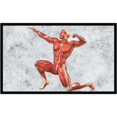 Imagem de Quadro Decorativo Medicina Médicos Corpo Humano Músculos Consultórios 