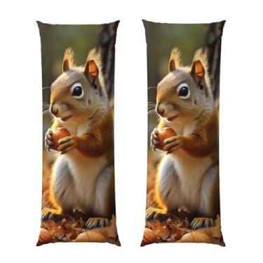 Imagem de Capa de travesseiro corporal com zíper ultramacia e refrescante, capa protetora respirável, capa de almofada decorativa para cama de esquilo comendo nozes para casa 50,8 cm x 137,2 cm