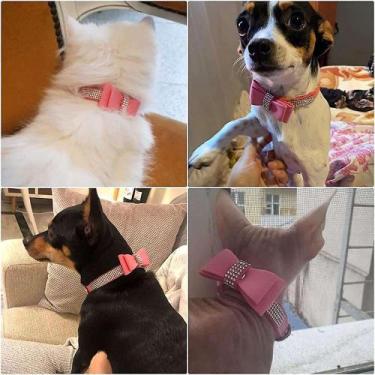 Imagem de Coleira de cachorro para cães pequenos e grandes menina menino macho -