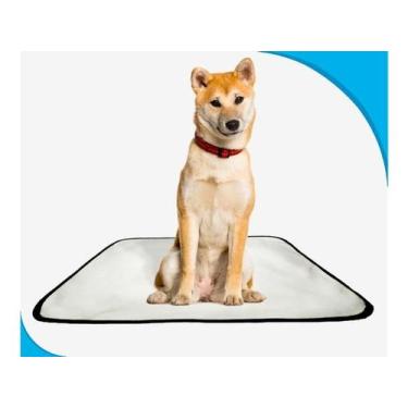 Imagem de Tapete pet lavável prático em oferta 4 un M - 60x80 Cm - SHELBY MODA P