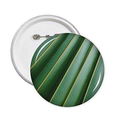 Imagem de Broche de fotografia de folha verde planta natureza crachá botão emblema acessório decoração 5 peças