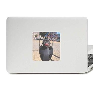 Imagem de Adesivo de vinil para fotografia de animais de estimação Bulldog Paster Laptop Decoração de PC