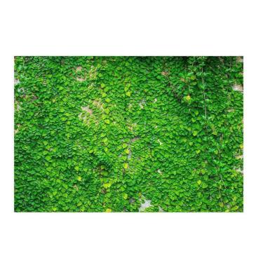 Imagem de Fundo Fotográfico Newborn Muro Inglês 3,0X2,5 Ffg-095