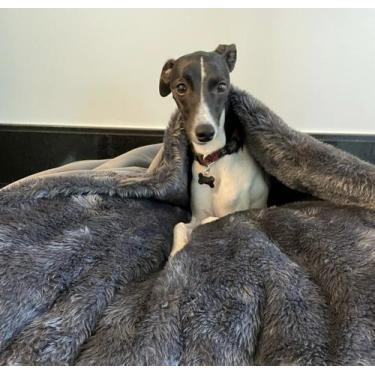 Imagem de Cama Cave Cachorros Whippet com coberta GG 80x80 - DeCoração Atelier
