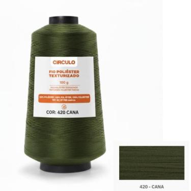 Imagem de Fio para Overlock 100% Poliéster Texturizado Circulo 100g, 420