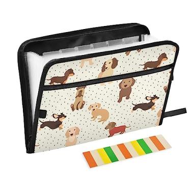Imagem de ZZKKO Pasta de arquivo expansível com 13 bolsos, lindos dachshunds com etiquetas, pasta de arquivos sanfonada, organizador de documentos, tamanho carta A4, documentos expansíveis