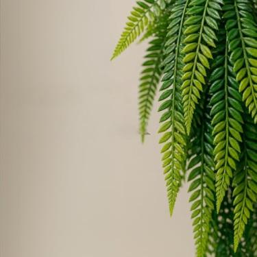 Imagem de Kit 2 Plantas Penduradas Artificial - Samambaia ou Jiboia Realista para Decoração(1 Pendente Samambaia)