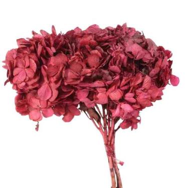 Imagem de Hortência Pink Desidratado - Pense Flores
