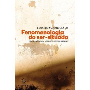 Imagem de Fenomenologia do Ser-situado - UNESP EDITORA, Sortido