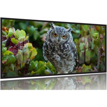 Imagem de Quadros Decorativos Coruja Linda 130x60 Moldura Preta 2x2