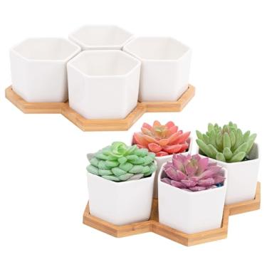 Imagem de Leismy 2 recipientes para suculentas e cactos, vasos de cerâmica branca com orifício de drenagem e bandeja removível, vasos de plantas pequenos para decoração de escritório em casa, recipiente de