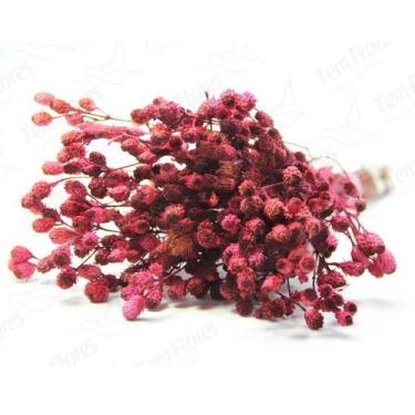 Imagem de Ramo Roxo Flor Desidratada Buque Flores Secas - Pense Flores, Rosa