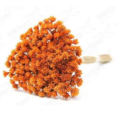 Imagem de Espeta Nariz Desidratado - Pense Flores, Laranja