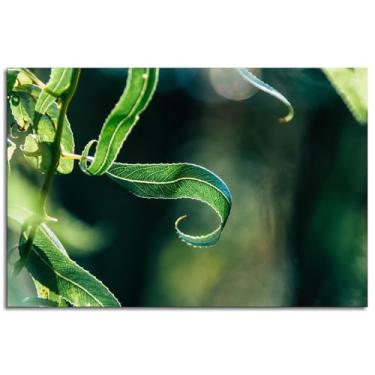 Imagem de Pôster de 26 folhas impressões em tela verde arte de parede planta para casa 1 painéis decorações não ramificadas 30,5 x 20,3 cm