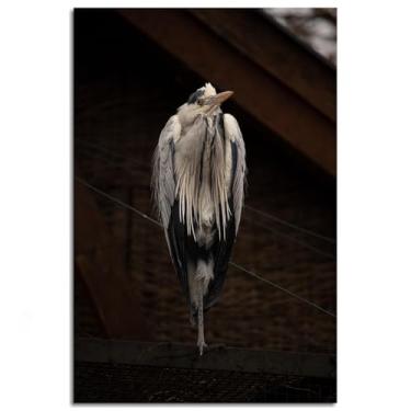 Imagem de Heron Poster Birdwatching Canvas Prints Animal Wings Wall Art For Home 1 painéis Decorações Noframed 45.7 cm x 30.5 cm
