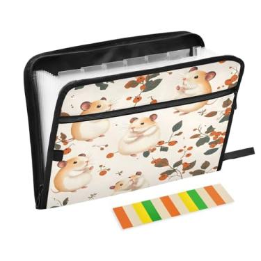 Imagem de CEBUGI Pasta expansível com 13 bolsos, organizador de arquivos sanfonado à prova d'água com etiquetas tamanho A4, organizador de documentos de papel para escola, material de escritório