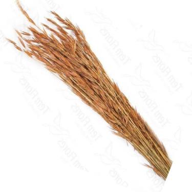 Imagem de Capim Trigão Flor Desidratada Buque Flores Secas - Pense Flores, Natur