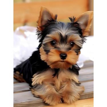 Imagem de UPABLUNSO Kits de pintura de diamante para filhotes de Yorkshire Terrier fofos para adultos animais cães Yorkie Diamond Painting, kit de artesanato de strass de cristal fino completo para decoração de