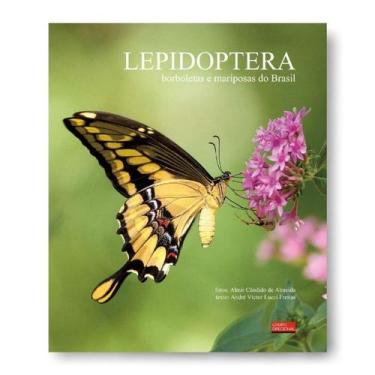 Imagem de Lepidoptera - borboletas e mariposas do brasil - EXCLUSIVA