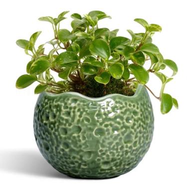 Imagem de Thirtypot Vasos de cerâmica - Vaso de plantas de 10 cm com orifício de drenagem, vasos pequenos para plantas internas e externas, vaso redondo exclusivo, vaso de flores decorativo moderno, decoração