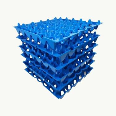 Imagem de 2X Bandeja Plástica Porta Ovo Cartela Higiênica 06 Unid.