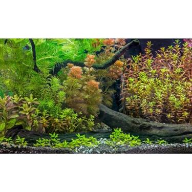 Imagem de Pano de fundo de aquário folhas de grama subaquática com seixos requintado fundo de aquário verde vívido planta aquática pedra rio cama peixe madeira morta folhas frescas decoração de fundo de tanque