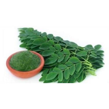 Imagem de 100%  Moringa Natural   (350g) - Grão no Ponto