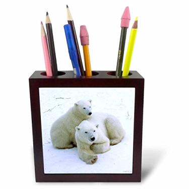 Imagem de 3dRose Urso polar mãe e filhote (Ursus Maritimes).Churchill, Canadá, suporte para caneta de azulejo, 12,7 cm (ph_45685_1), 12,7 cm
