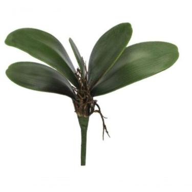 Imagem de Folha Orquidea C-arame Phalaenopsis C-powder X5 Verde 22cm