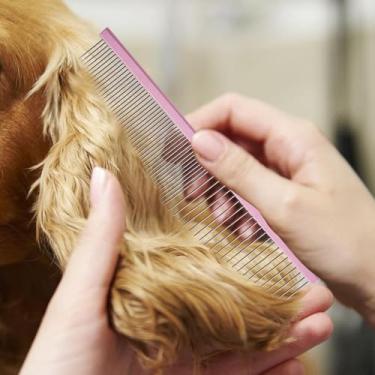 Imagem de Pente de pelos para animais de estimação | Escova para limpeza de cães | Escova de limpeza em forma de urso para detalhes de banho, gatinho, casa, limpeza interna, filhote