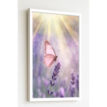 Imagem de Quadro Decorativo Borboleta Rosa Raios  - 70x50cm